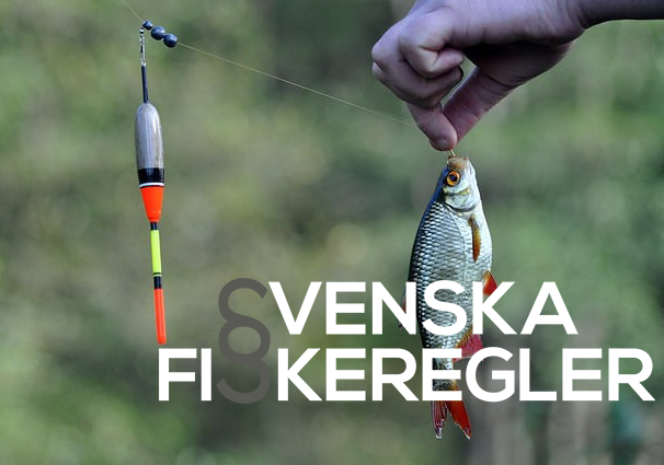 I bakgrunden så är det en hand som håller upp en fisk. Framför bilden så ligger Svenska fiskereglers logotyp.